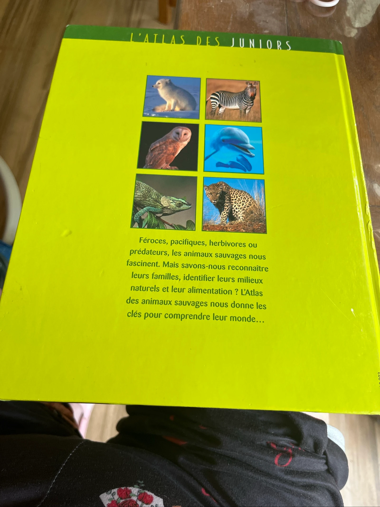 Libro infantil El Atlas de los Juniors: Los animales salvajes - Ediciones Atlas – photo 2